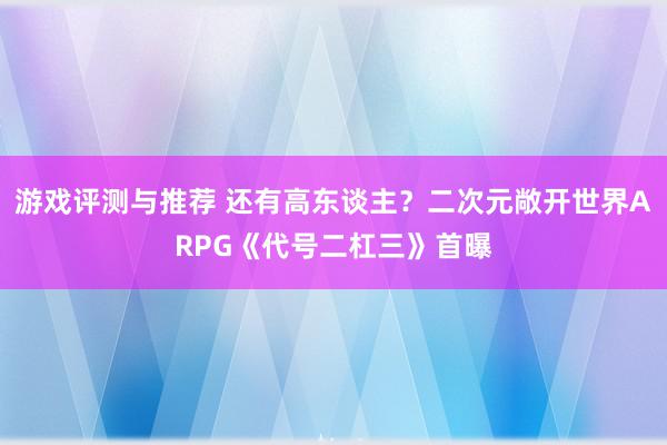 游戏评测与推荐 还有高东谈主？二次元敞开世界ARPG《代号二杠三》首曝