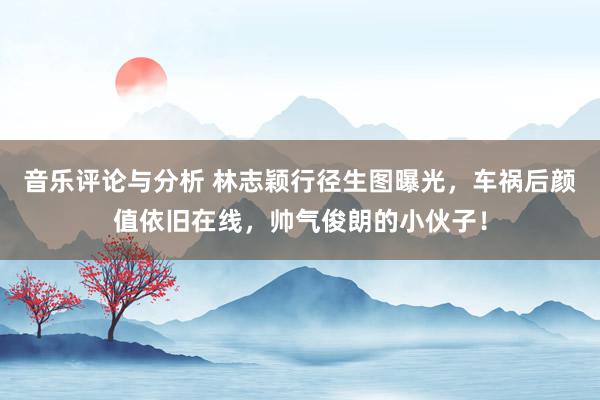 音乐评论与分析 林志颖行径生图曝光，车祸后颜值依旧在线，帅气俊朗的小伙子！