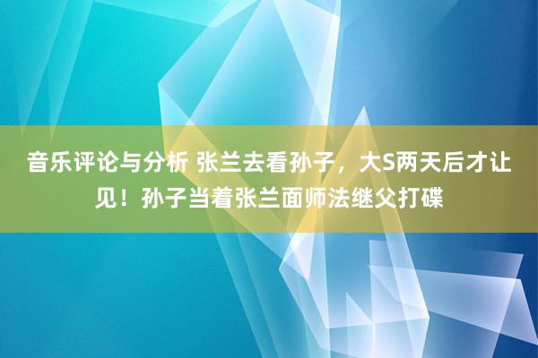 音乐评论与分析 张兰去看孙子，大S两天后才让见！孙子当着张兰面师法继父打碟