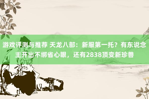 游戏评测与推荐 天龙八部：新服第一托？有东说念主开出不绑省心眼，还有2838顶变新珍兽