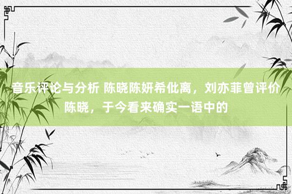 音乐评论与分析 陈晓陈妍希仳离，刘亦菲曾评价陈晓，于今看来确实一语中的